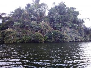 Potensi Wisata Pulau Bangau Duo Koto