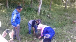 Semarak Menanam di Ampek Nagari Berlanjut