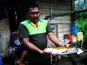 Warga Labuah Baru Kembangkan Gariang di Kolam Air Deras
