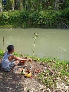 Warga Manggopoh Budidaya Ikan Maseer