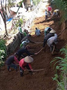 Nagari Persiapan Koto Gadang Fokus Buka Jalan Usaha Tani