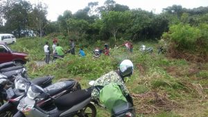 Semarak Menyemai, Palembayan Promosikan Bukik Sakura