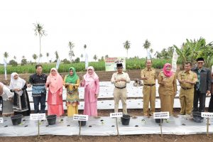 Sumbar Canangkan Gerakan Tanam Cabe Bayam di Kabupaten Agam