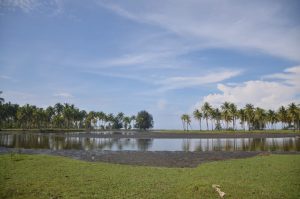 Laguna Tiku, Potensi Wisata Unik di Kabupaten Agam