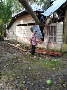Pohon Kelapa Timpa Rumah Warga Di Jorong Kubu Anau