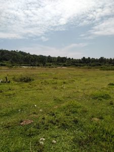 PAGA Akan Bangun Lapangan Sepakbola di Dusun Simaruok