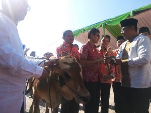 Raih Juara Umum, Sapi Agam Mendominasi Livestock Expo Sumbar 2019