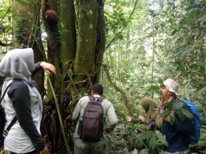BKSDA Sumbar Survei Dua Lokasi Calon Kawasan Ekosistem Esensial di Agam