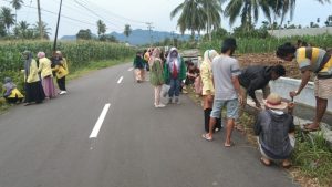 Peringati Hari Perpindahan Ibu Kota Agam ke Lubuk Basung, Mahasiswa KKN Tanam Pohon