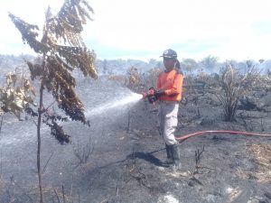 Kebakaran Lahan di Durian Kapeh, BPBD Agam Masih Lakukan Pendinginan