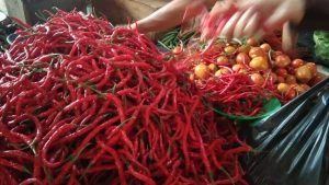 Harga Bawang dan Sayuran di Lubuk Basung Mulai Turun