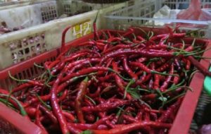Cabai Merah Keriting Turun, Rp19 Ribu Per Kilogram