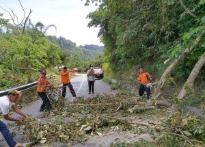 Sempat Tersekat, Ruas Jalan Matur-Padang Lua Kembali Normal