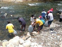 Jorong IV Garagahan Peroleh Bantuan Bibit Ikan Gariang dari DKP Sumbar