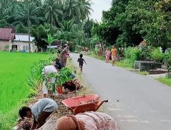 Masyarakat Jorong Pasa Durian Tanam Bunga di Sepanjang Jalan