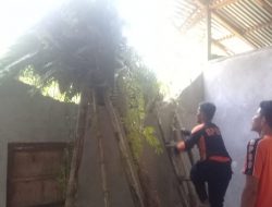 Rumah Dasril Ditimpa Pohon, BPBD Agam Bersihkan Material