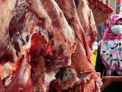Harga Daging di Agam Naik, Per Kilogram Rp160 Ribu