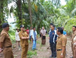 Akses Menuju Areal Pertanian di Kayu Pasak Terbuka, Wabup Agam: Bentuk Perhatian Pemerintah
