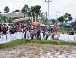 Ribuan Peserta Padati Alek Gadang Buru Babi di Tilatang Kamang