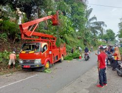 Warga Garagahan Goro, Bangun Taman Nagari