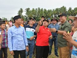 Bupati Agam Buka Festival Layang-Layang Anak Nagari Manggopoh