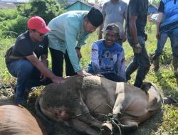 Keluarga Besar Bupati Agam Berkurban di Kampung Halaman