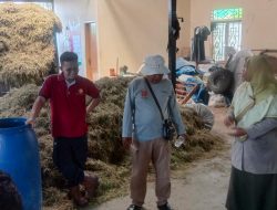 Puluhan Peternak di Agam Belajar Budidaya Ternak Sapi ke BPTU-HPT Padang Mangatas 