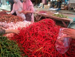 Makin Pedas, Harga Cabai di Lubuk Basung Tembus Rp 80 Ribu per Kilogram