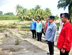 Bupati Agam Tinjau Lokasi Irigasi Rusak Akibat Banjir di Tanjung Mutiara