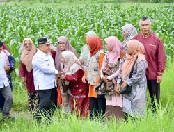 Bupati Agam Dorong Pemanfaatan 700 Hektar Lahan Untuk Tanaman Jagung