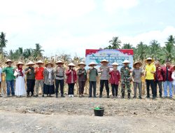 Panen Raya Jagung Serentak Kuartal III di Garagahan