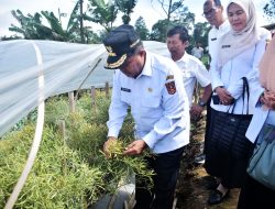Kunjungi Kecamatan Sungai Pua, Bupati Agam Bahas Potensi Pertanian dan Solusi Pemasaran Hasil Panen