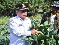 Bupati Agam : Kol Bunga Pandeka Miliki Potensi Besar Jadi Varietas Unggulan