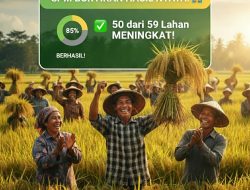 Produktivitas Sawah Pokok Murah di Agam Meningkat, Bukti Efektivitas Program Ketahanan Pangan