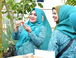 Dasawisma Parma 1 Kubang Putiah Nominasi Enam Besar Lomba Dasawisma Tingkat Kabupaten Agam