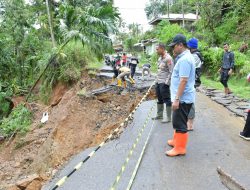 Akses Jalan Terputus, Bupati Agam Tinjau Longsor di Palembayan