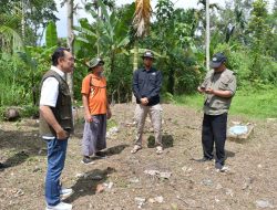 Pastikan Keselamatan Warga, Wabup Agam Dorong Percepatan Pembangunan Huntara di Tanjung Raya
