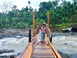 Bupati Agam Tinjau Jembatan Batang Mangui di Malalak Selatan