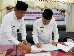 Tantangan Pemerintahan Berat, Pemulihan Pascabencana Jadi Prioritas
