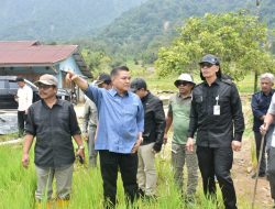 Sekjen Kementan RI Tinjau Lokasi Rehab 69 Hektar Lahan Terdampak Banjir