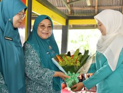 Ketua TP-PKK Agam Tinjau Pelaksanaan Program PKK di Nagari Lasi