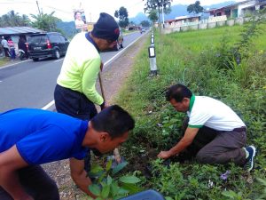 Baso Semarak Menanam 100 Mahoni di Labuah Luruih,Padang Tarok