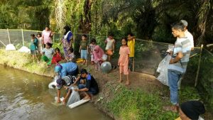 Pokdakan Sumber Rezeki Tebar 12.000 Bibit Ikan
