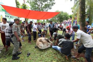 Perputaran Uang Qurban di Agam Capai Rp.81 Miliar