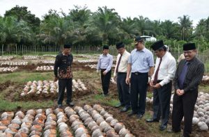 23 Ribu Batang Bibit Kelapa Telah Disalurkan Tahun 2018