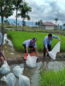 Program DPKP Agam Beternak Ikan, 857.500 Ekor Bibit Telah Disalurkan