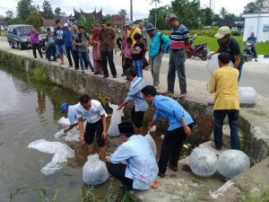 DPKP Agam Targetkan Dua Juta Bibit Ikan Tersebar Pada 2019