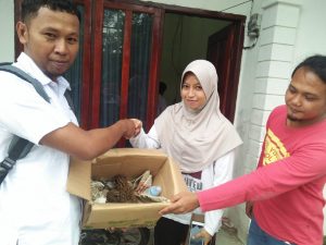 Warga Bayur Serahkan 3 Ekor Kucing Hutan ke BKSDA