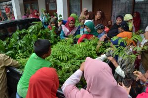 Sebanyak 100 Ribu Bibit Tanaman Hortikultura Siap Disalurkan Tahun Ini