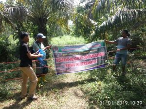 BKSDA Agam Pasang Pagar Dekat Buaya Bertelur